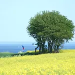 Seepferdchen Casa vacanze